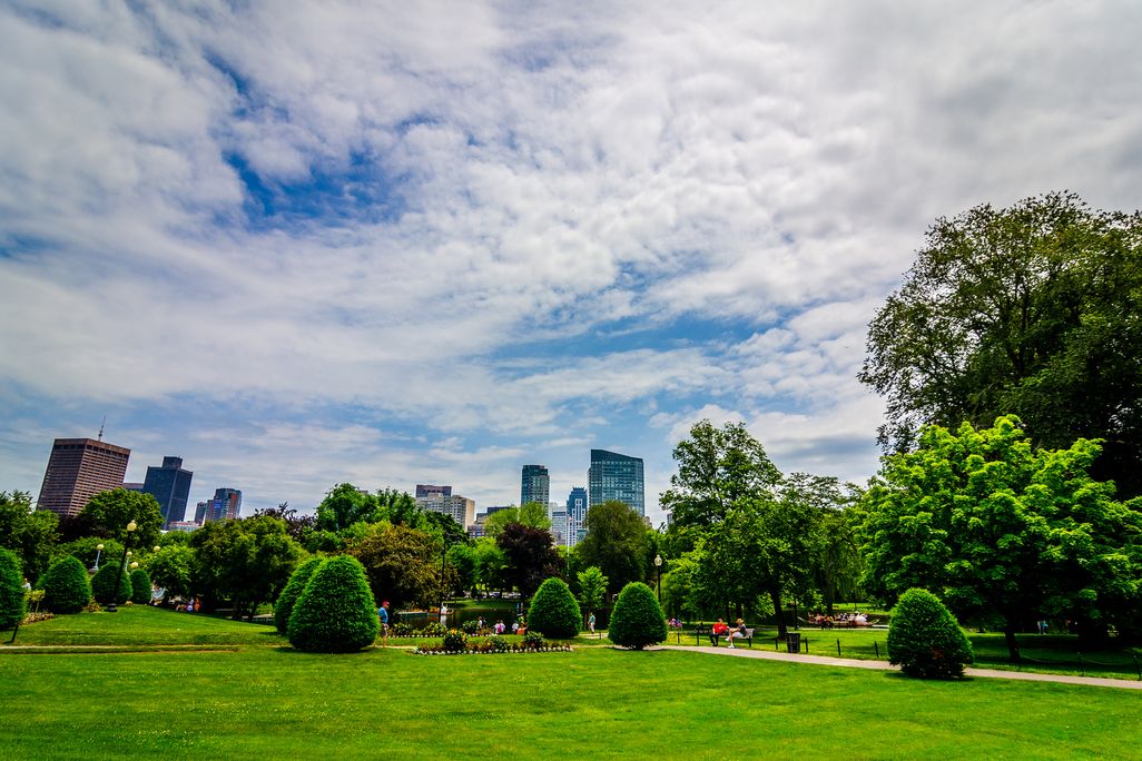 city park.jpg