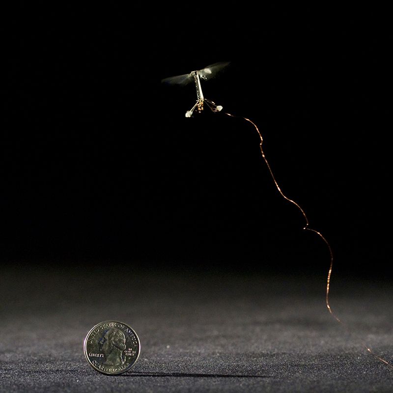 RoboBees Can Fly and Swim. What's Next? Laser Vision