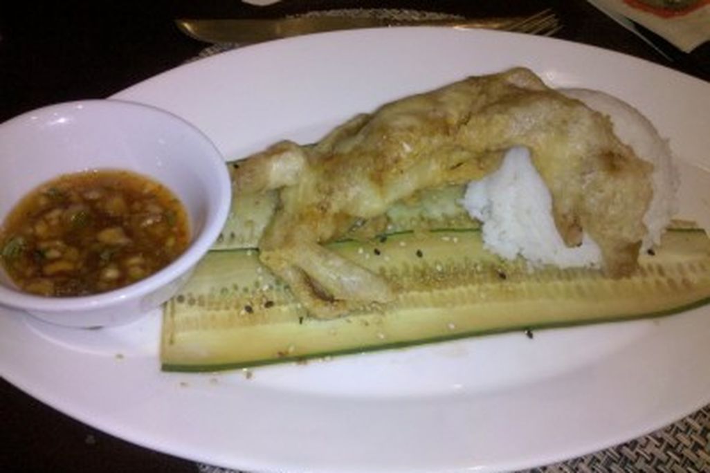 20110520090144softshell-tenpenh-400x298.jpg