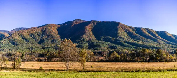 Cades Cove Autumn Panorama thumbnail