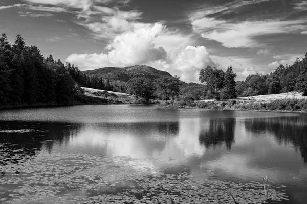 Little Long Pond, Midsummer thumbnail