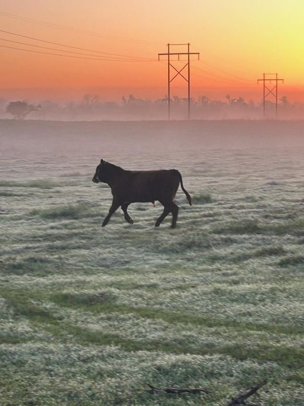An Oklahoma morning thumbnail