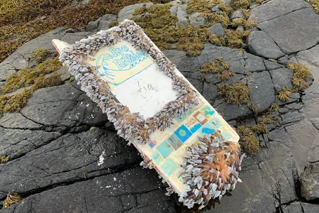 Rye Riptides&nbsp;in Norway