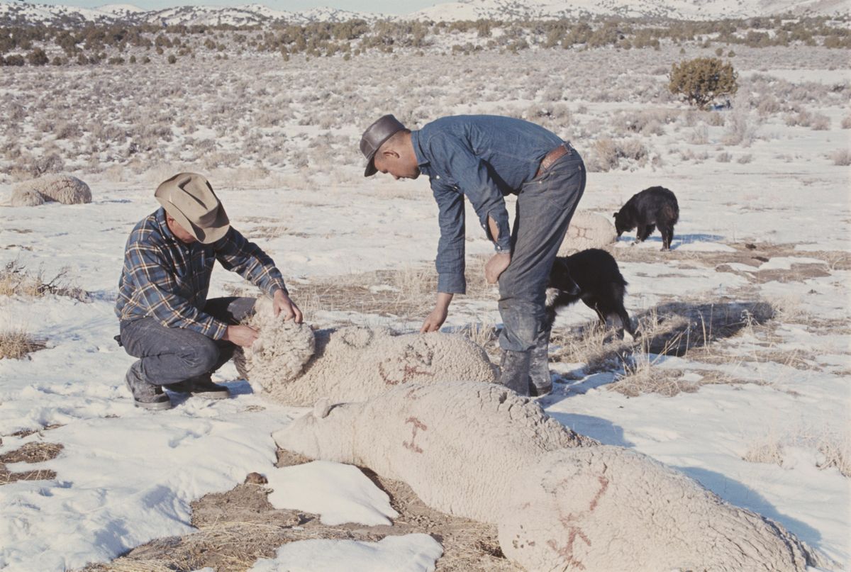 www.smithsonianmag.com