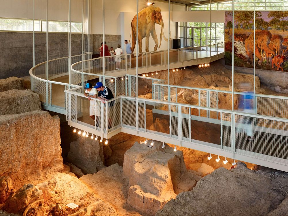 Waco Mammoth National Monument