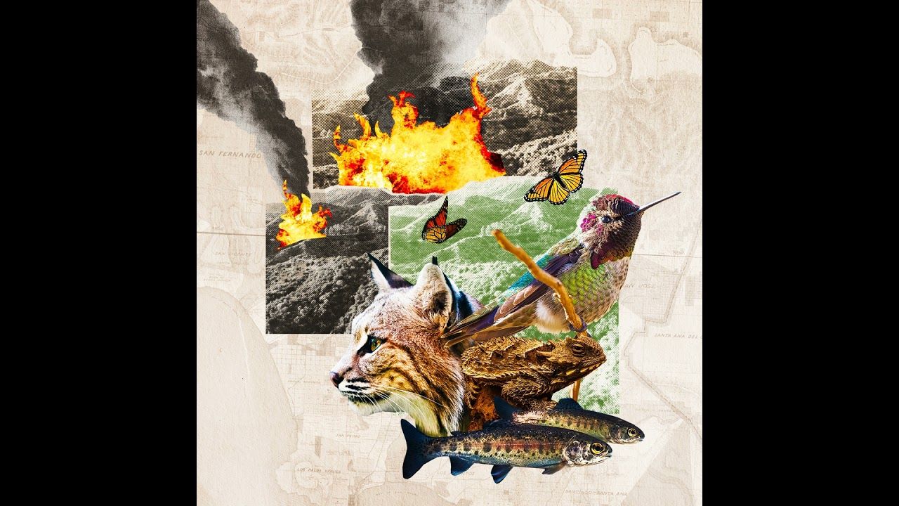 Preview thumbnail for Looking Back on the L.A. Wildfires Through the Lens of Two Photographers
