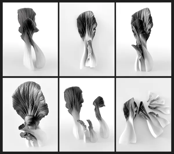 The artwork “Dreams of Parenthood” thumbnail