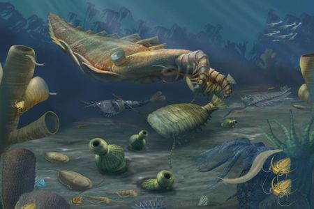 The Cambrian Period was a time of remarkable diversification of life when many of the animal groups that exist today first appear in the fossil record. 