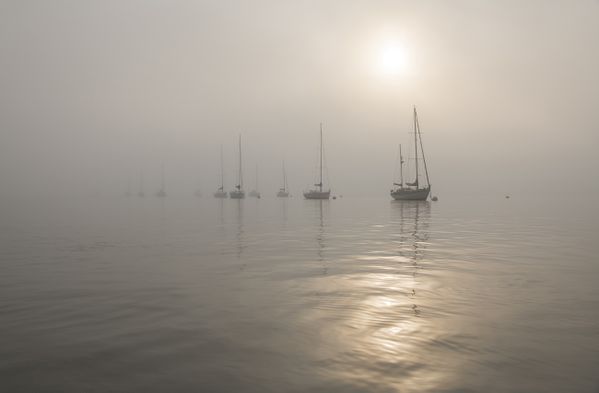 Boats In The Fog thumbnail