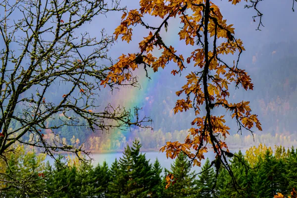 Rainbow over the Columbia River thumbnail