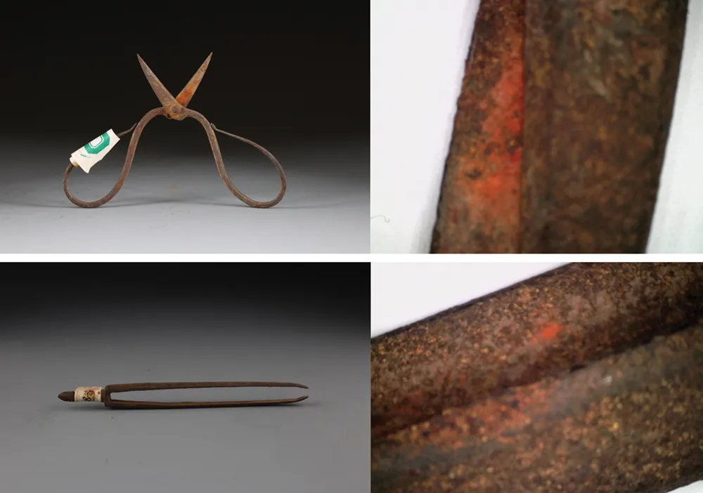 These 600-Year-Old Chinese Surgical Instruments Are Coated in an Early Local Anesthetic—Carefully Extracted From a Poisonous Plant image