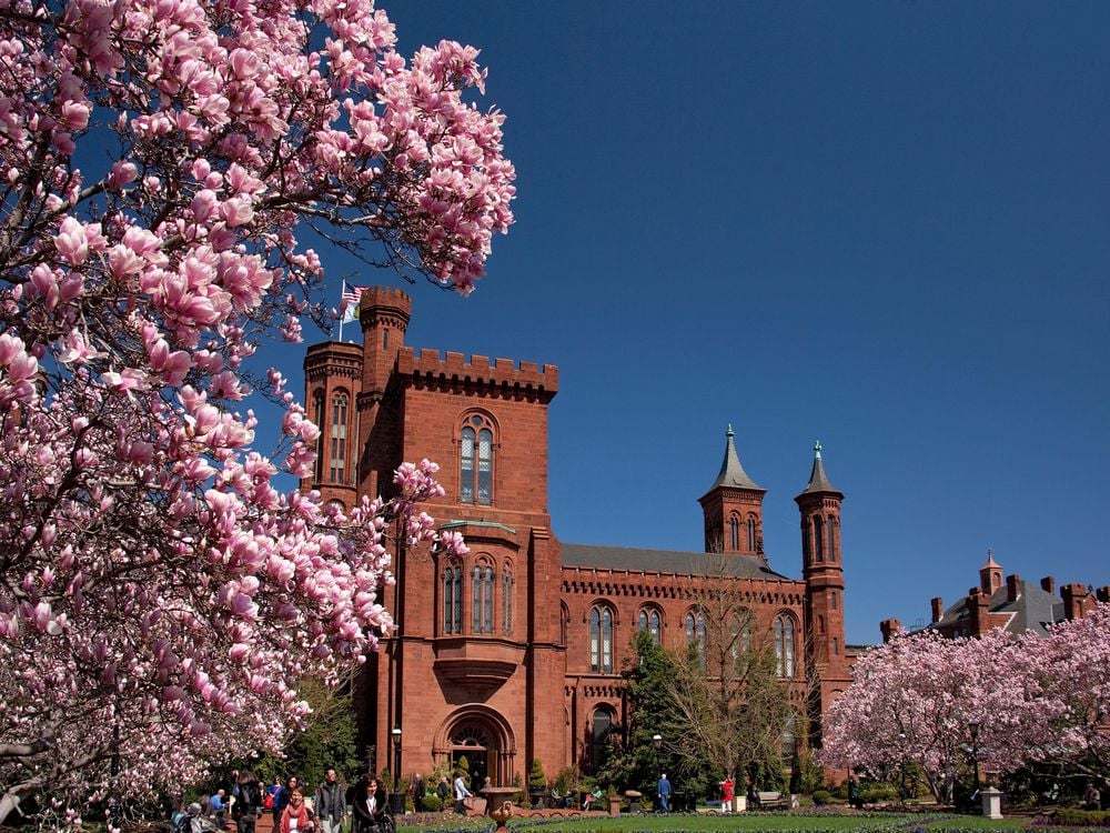 Smithsonian Castle in the spring