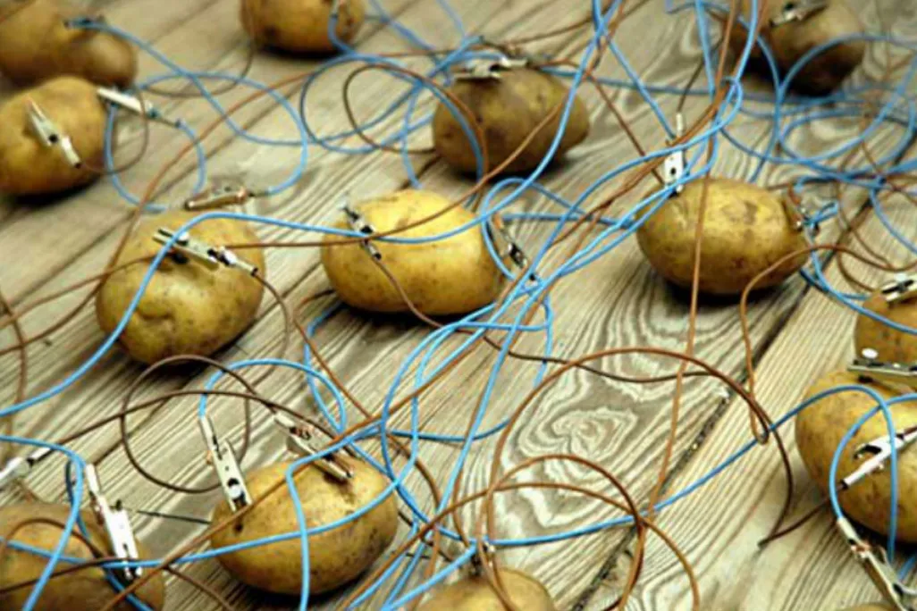 potatoes.jpg