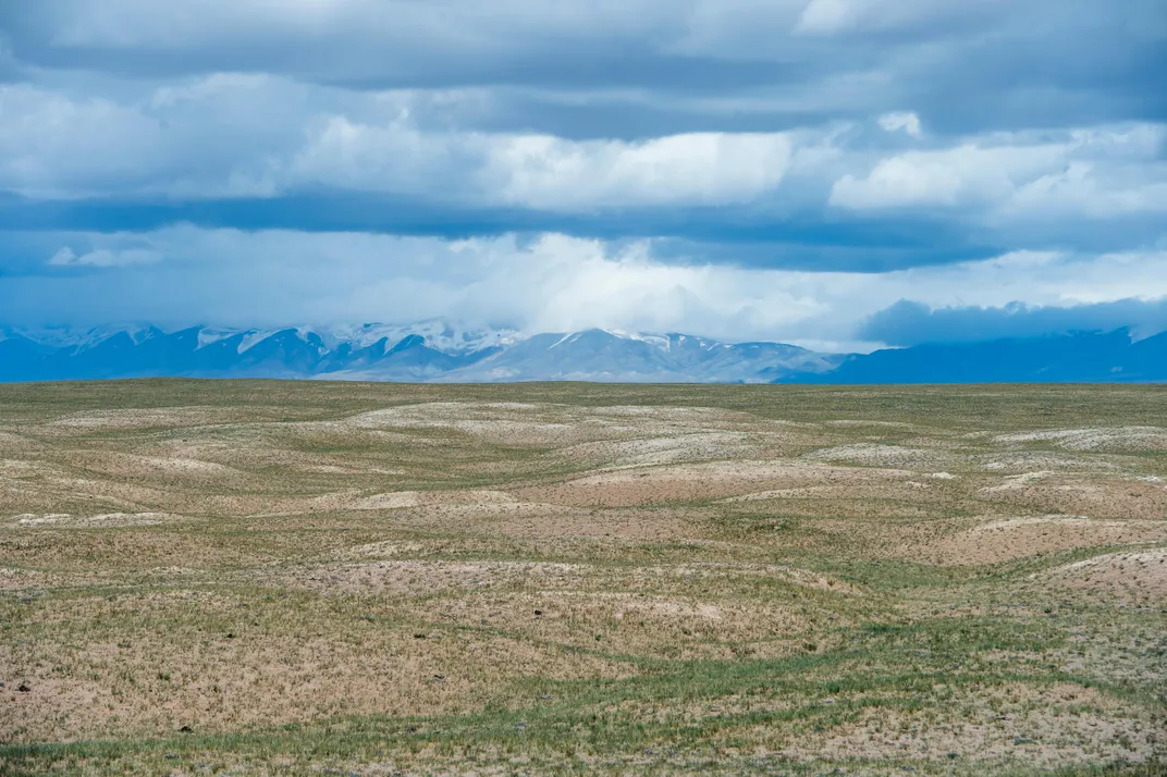 Field on the Tibetan Plateau