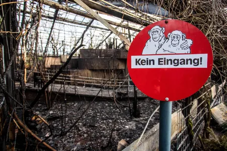 A sign reading "No Entrance!" is seen at the burned-out monkey house of the zoo in Krefeld, western Germany, on January 1, 2020.