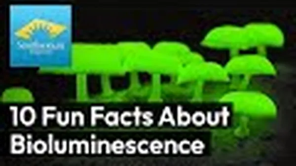 Preview thumbnail for 10 Fun Facts About Bioluminescence