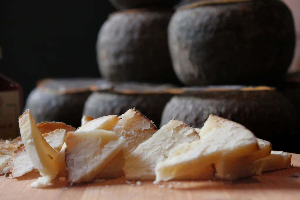 Cheese 