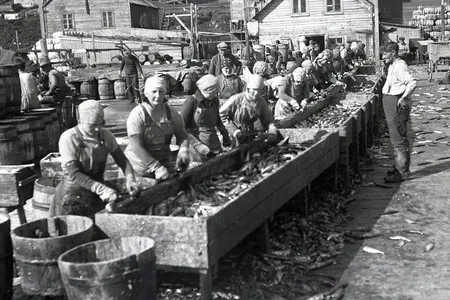 Seasonal influxes of fishermen fed roaring local economies and attracted herring girls&mdash;women who came from across Iceland to take jobs gutting, cleaning and salting barrels of freshly caught fish.