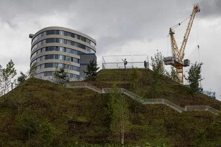 Instead of a soaring, verdant oasis in the middle of the city, visitors were greeted with sparse, earth-covered scaffolding.
