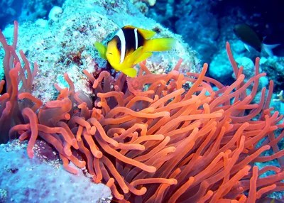 tailor-made-travel-australia