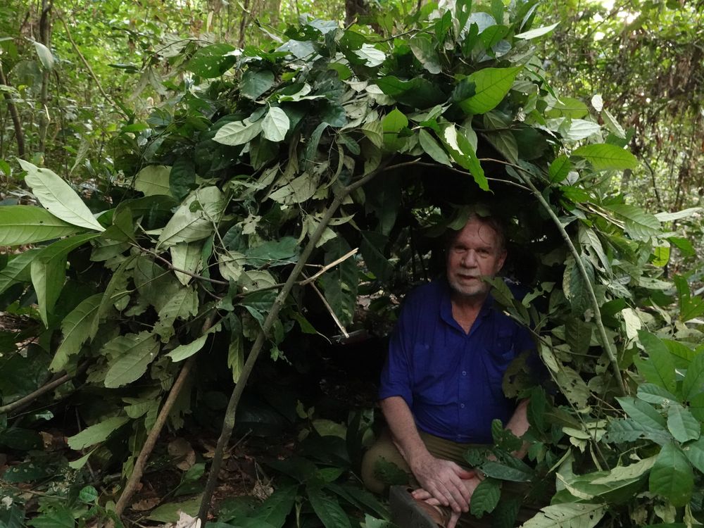 Meet the Entomologist and Wildlife Photographer Zooming in on the Weird and Wonderful World of Ants - Smithsonian Magazine