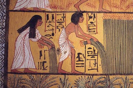 Egyptians bringing in the harvest