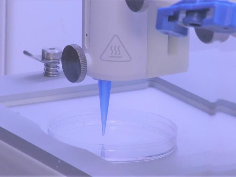 Scientists 3-D Print Skin That Develops Working Blood Vessels