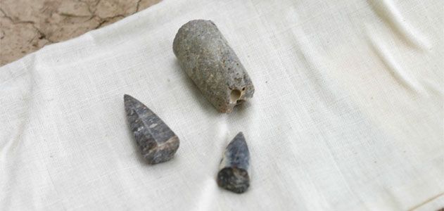 Belemnite fossils found during the first day in the field
