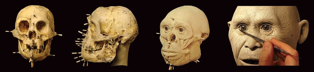 Homo floresiensis process