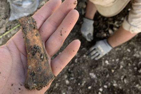 Archaeologists found the remains of cabins, broken clay tobacco pipes, ceramic cups and other artifacts.