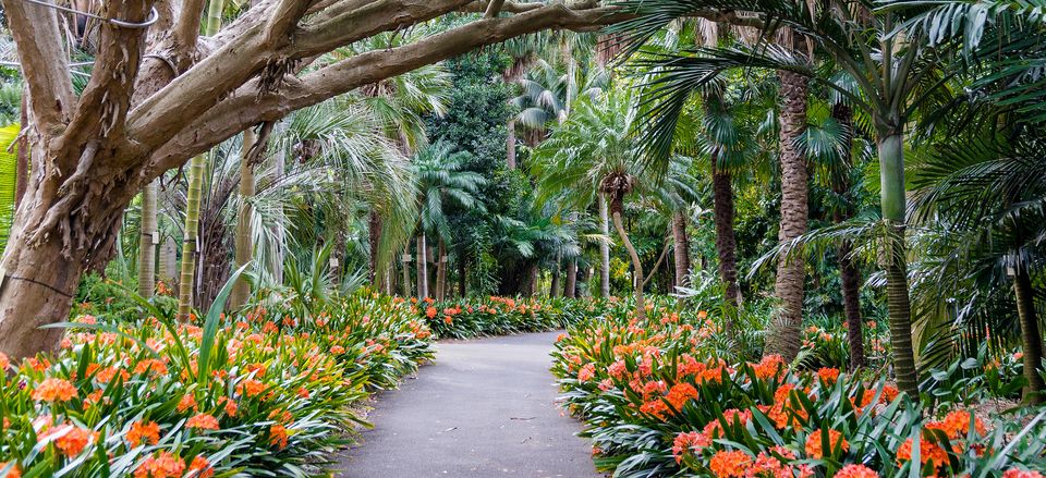  Australia's Royal Botanic Gardens are situated in Sydney, not far from the Opera House. 