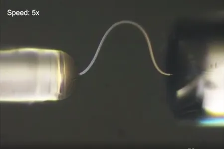 A thin strand of ice seen through a microscope in the process of bending under pressure. When the pressure is released the ice strand will spring back to its original shape.