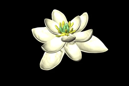 This 3D recreation depicts what scientist believe the ancestor of all modern flowers looked like
