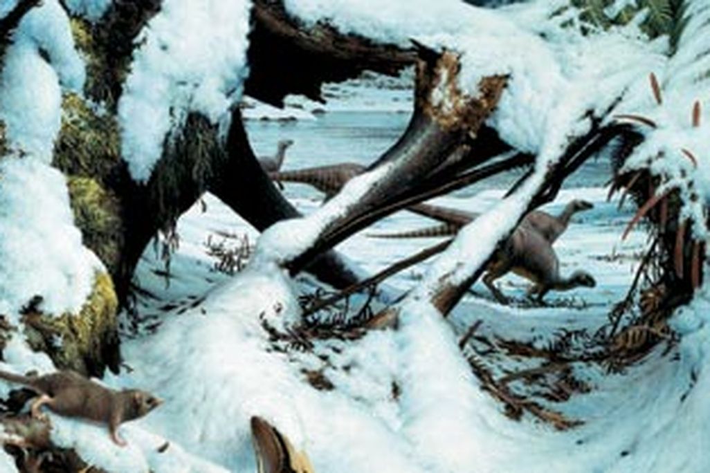20110520083106polar_main_dec07_388.jpg