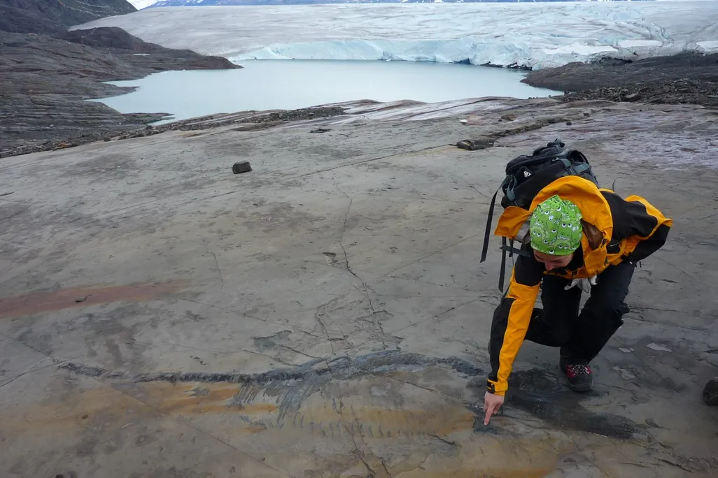 a woman pointing to an outline of a fossil in the ground