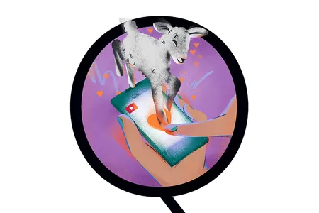 The jumping that you see in cute goat videos online is a natural behavior.