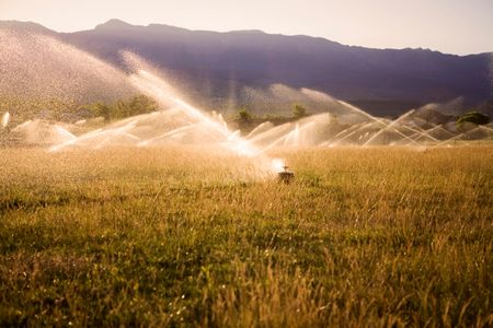 Water, water, everywhere …
