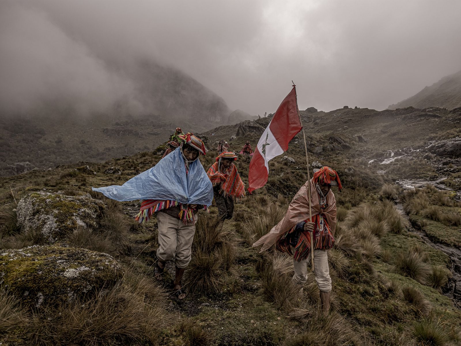 These Stunning Photography Projects Tell Stories of Conservation