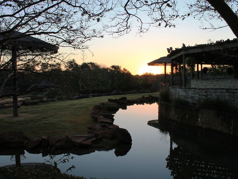 Sunrise at the Zoo | Smithsonian Photo Contest | Smithsonian Magazine