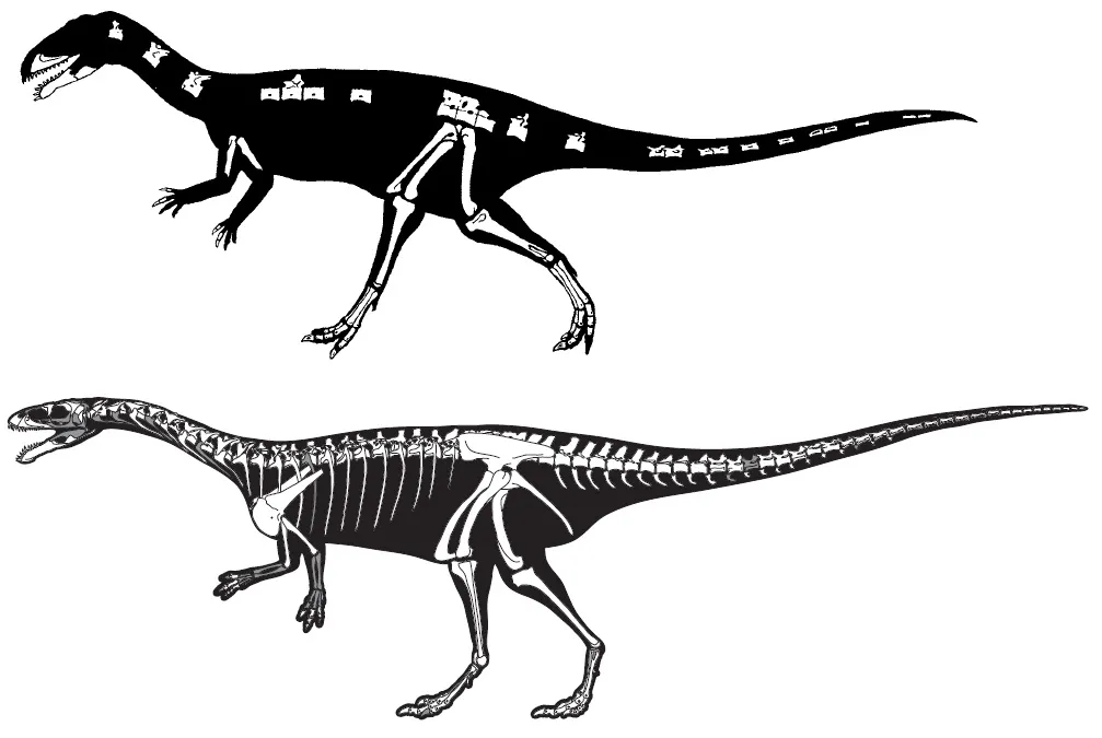 Masiakasaurus Gets a Few Touch-Ups | Science | Smithsonian Magazine