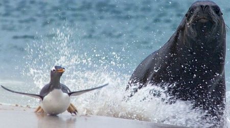 Where time speeds up and motion slows down