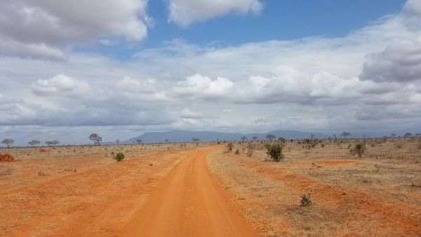 driving through Tsavo East National Park in Kenya thumbnail