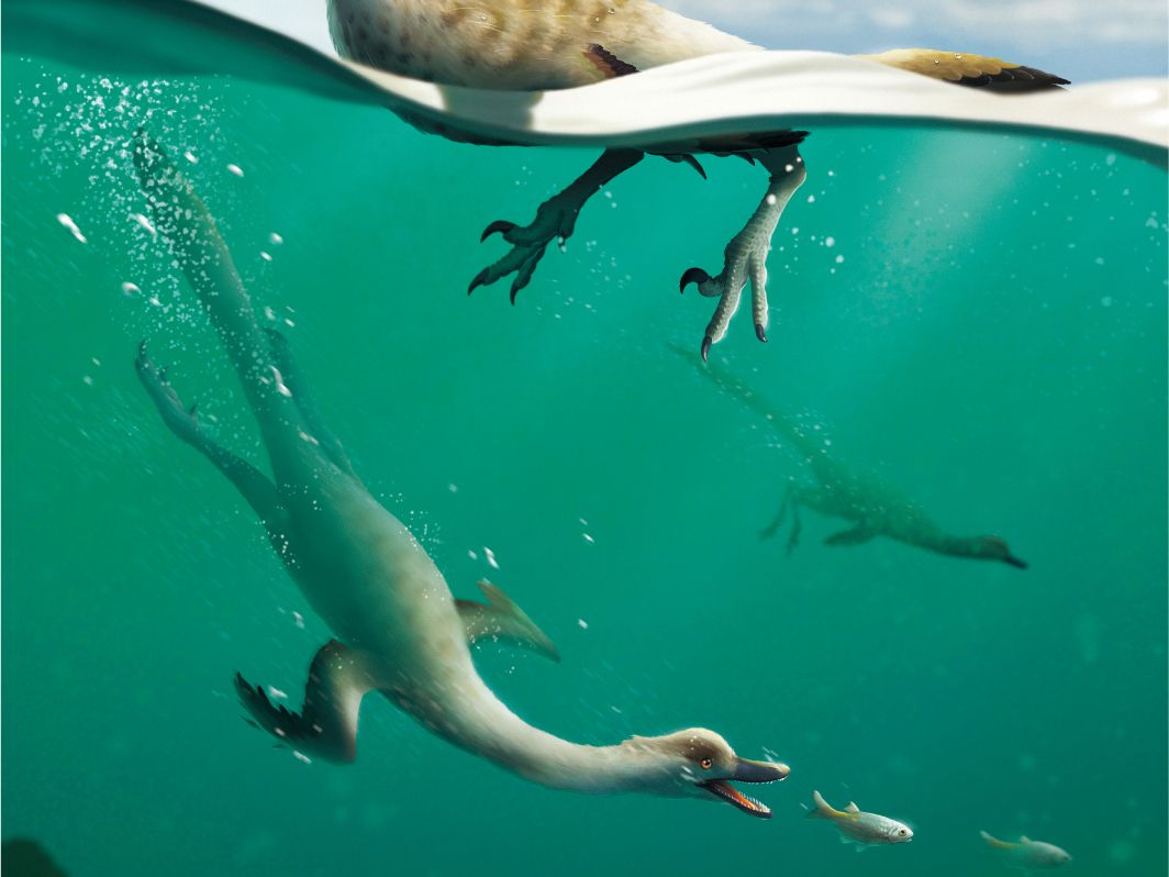 World’s First Swimming Dinosaur Discovered in Mongolia