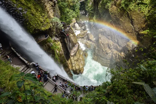 Nature's Tricks thumbnail