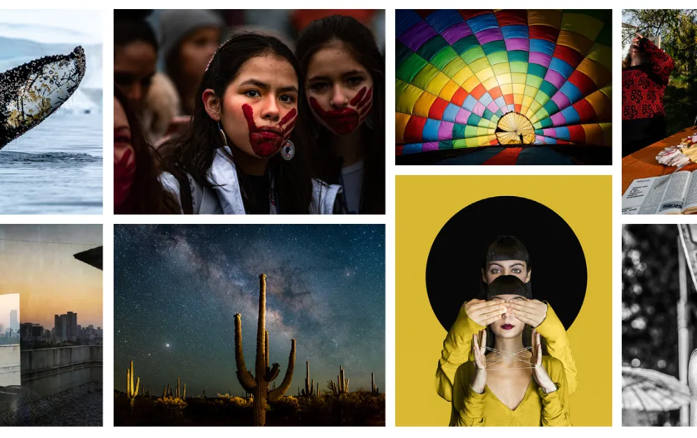 Photo contest collage (social)