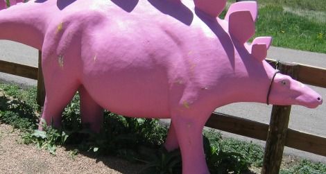 A hot pink Stegosaurus at the Dinosaur Ridge visitor's center