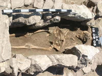 Skeleton of the Trojan woman