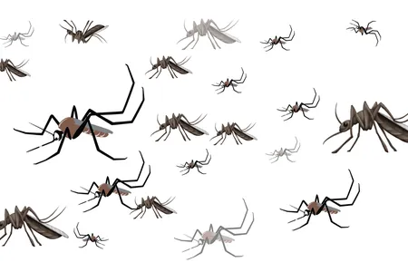 Set to land in mid 2018, the new mosquito emoji will give people a new way to talk about the dangerous insects.