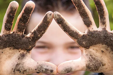 Mikael Knip, a Finnish physician, speculates that developed nations are too clean for their own good.