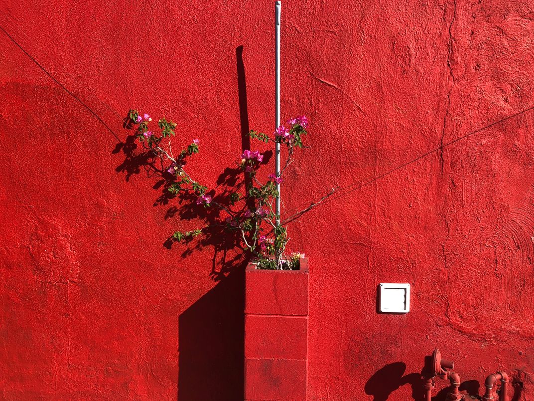 Red Wall Smithsonian Photo Contest Smithsonian Magazine